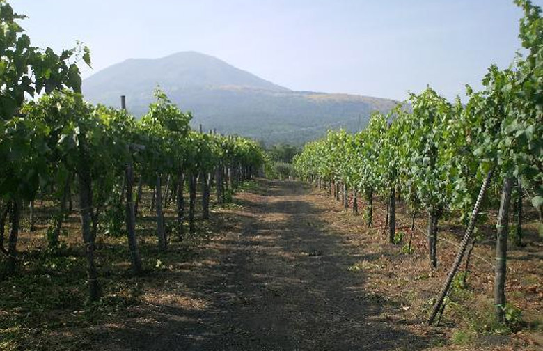 cantine_vesuvio