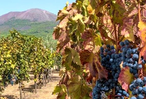 vesuvio