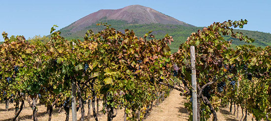 Cantina-del-Vesuvio-22