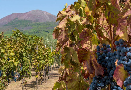 Cantina-del-Vesuvio-4
